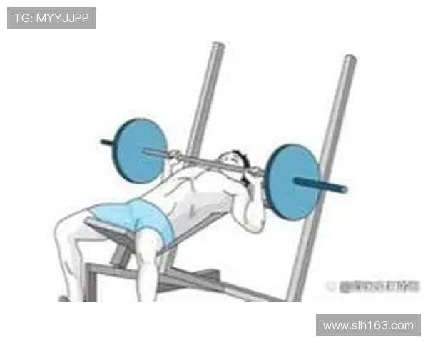 如何站着使用健身器材进行有效锻炼? 如何站着使用健身器材进行有效锻炼?