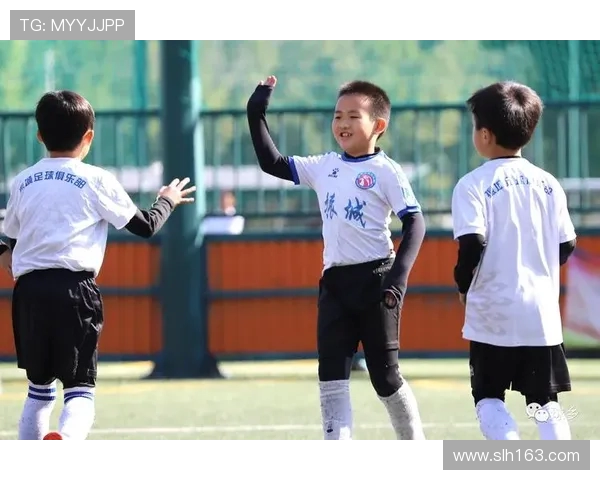 足球青训基地围挡高度规范与安全防护标准