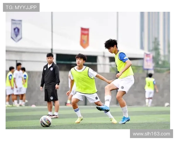 青训金字塔尖观察：足球国青队人才储备深度报告