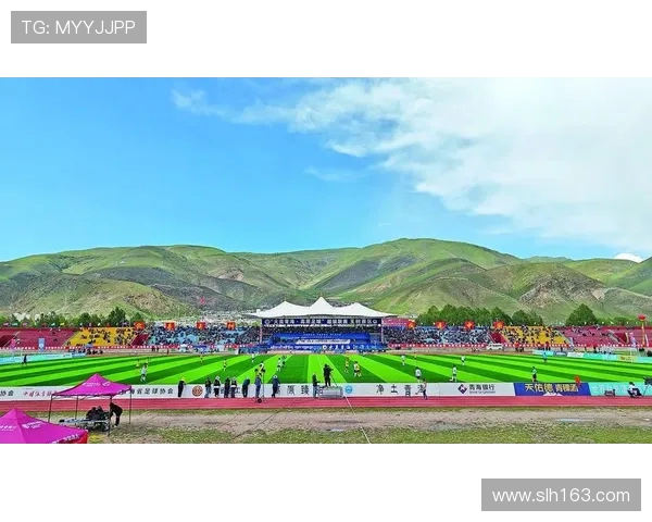 高原绿茵挑战：足球赛场上的氧气博弈与体能密码