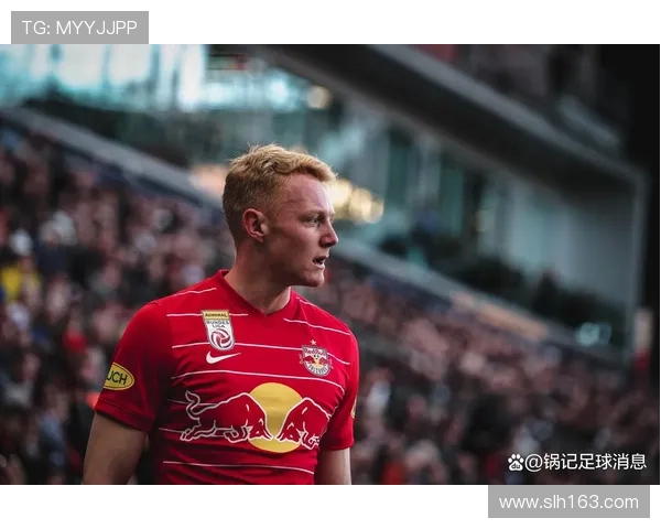 德甲球队的财政状况：财力强弱与球队成绩