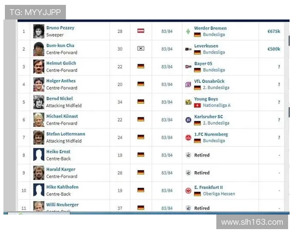 德甲目前未降级的球队名单及稳定表现总结