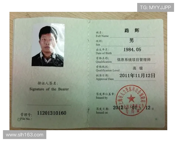 法甲技术支持团队及运作流程揭秘